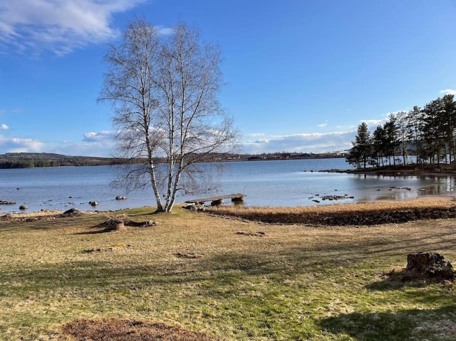 Lake Lodge Roennaes 렉산드 외부 사진